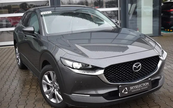 chmielnik Mazda CX-30 cena 114999 przebieg: 83806, rok produkcji 2019 z Chmielnik